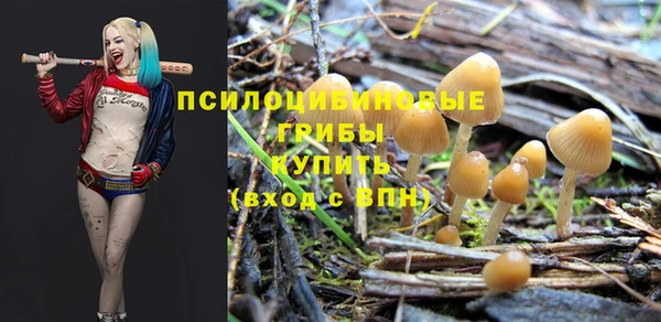 марки nbome Абаза