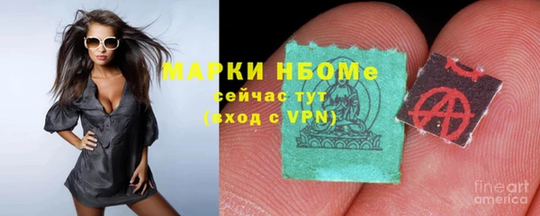 прущие грибы Абинск